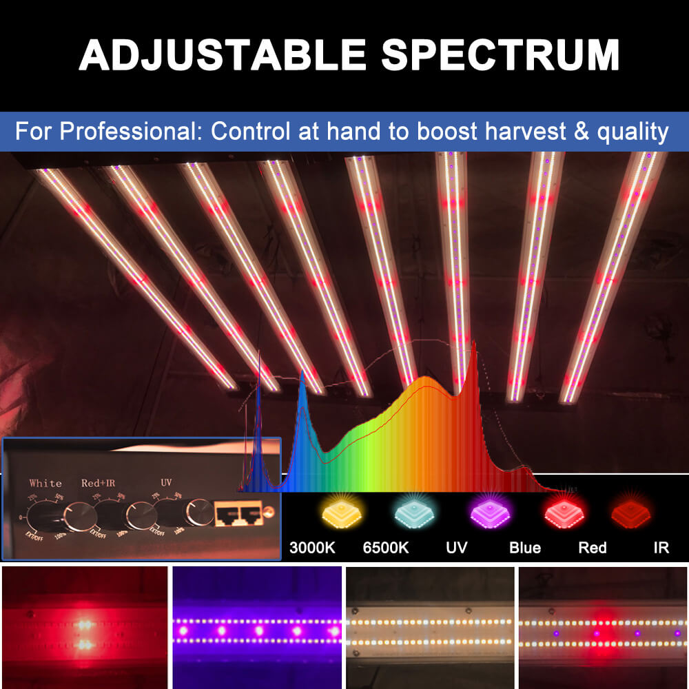 Luces LED de Cultivo PPFD 2800 - Led Grow Light reseña y precio