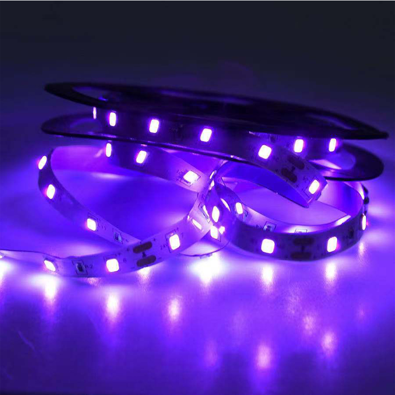 Luz ultravioleta LED UV, lámpa - Led Grow Light reseña y precio