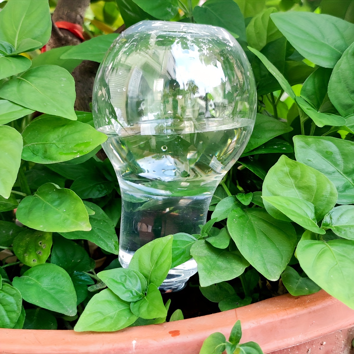 Herramienta de riego automátic - Gardening Tools And Accessories reseña y precio