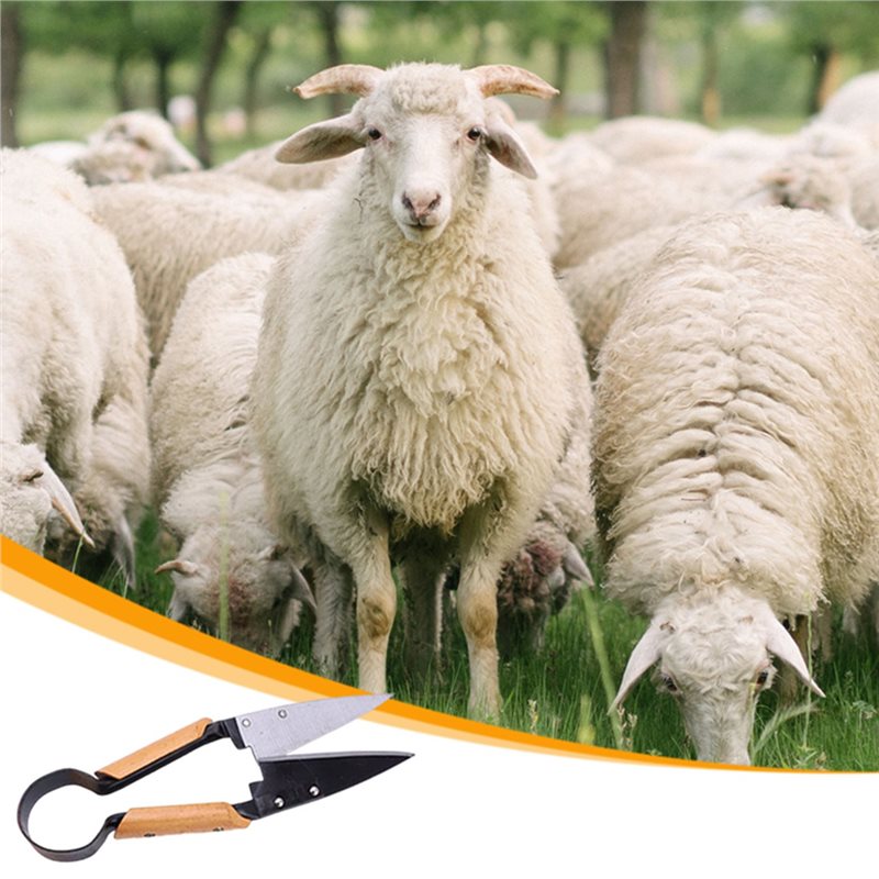 OFERTA FLASH: Tijeras de podar - Gardening Tools Deals reseña y precio