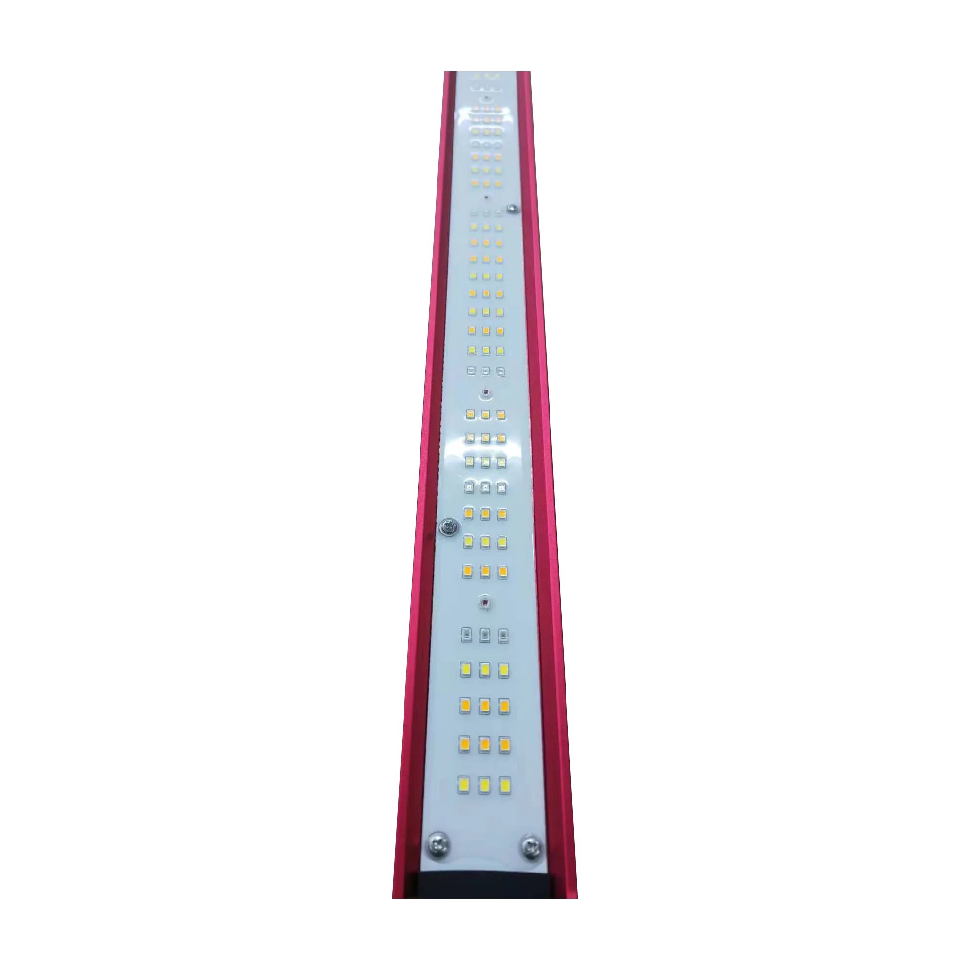 Luz LED de espectro completo p - Led Grow Light reseña y precio