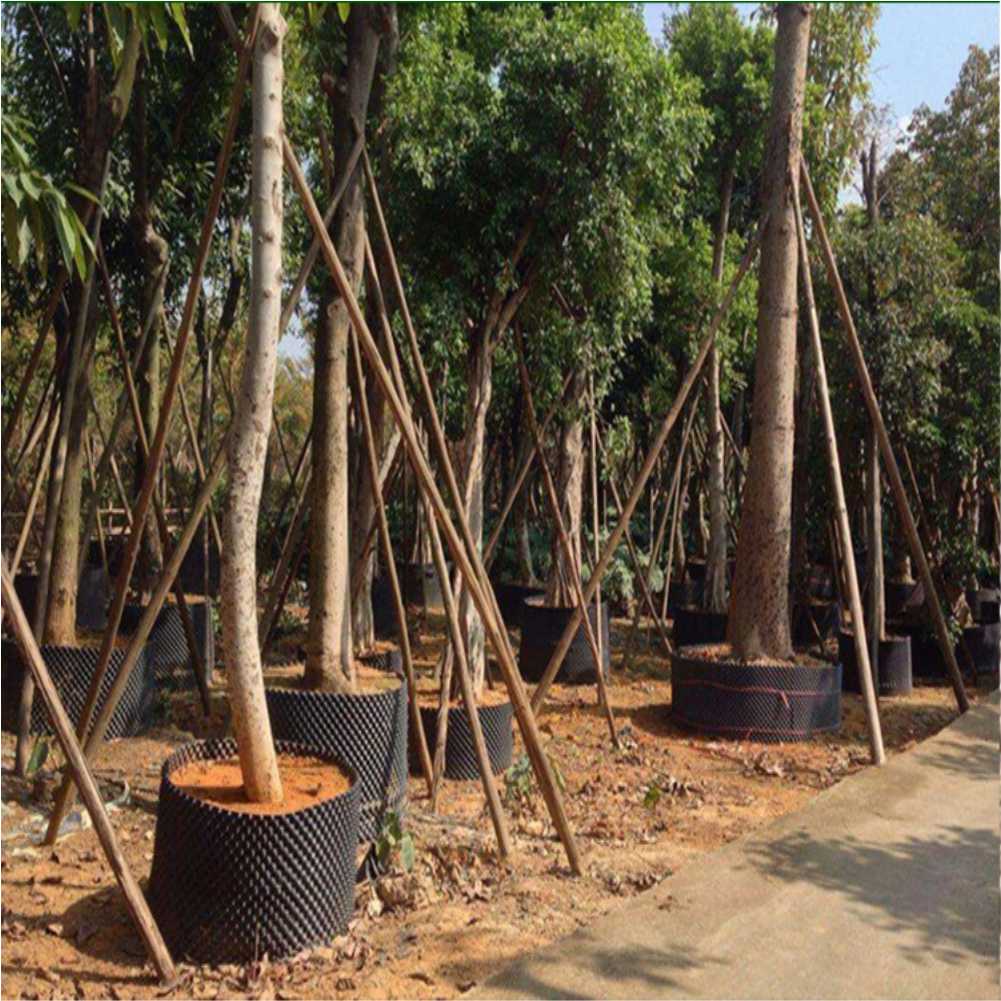 Maceta de cultivo para árboles - Gardening Tools reseña y precio