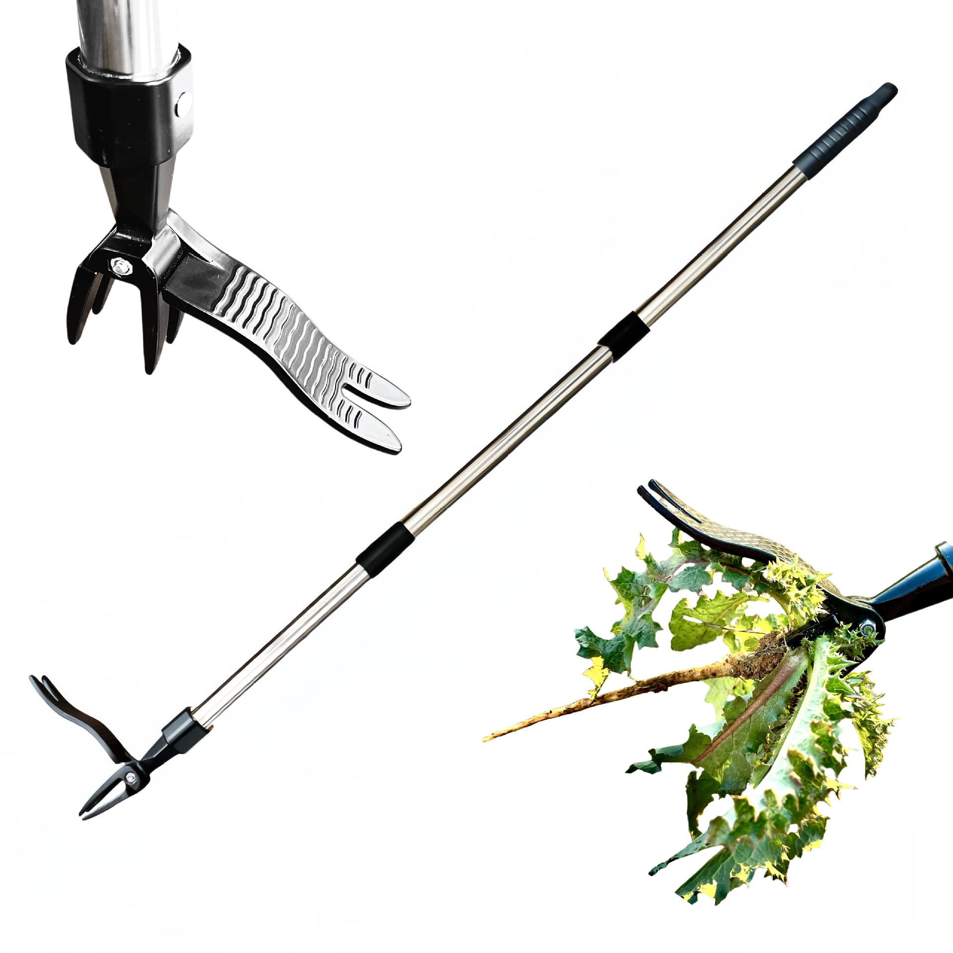 Extractor de malas hierbas de  - Gardening Tools You Need reseña y precio