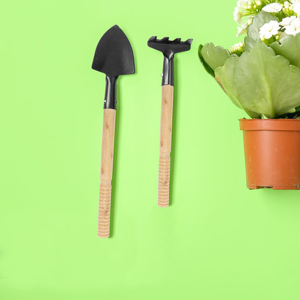 Juego de 5 mangos de repuesto  - Gardening Tools And Accessories reseña y precio