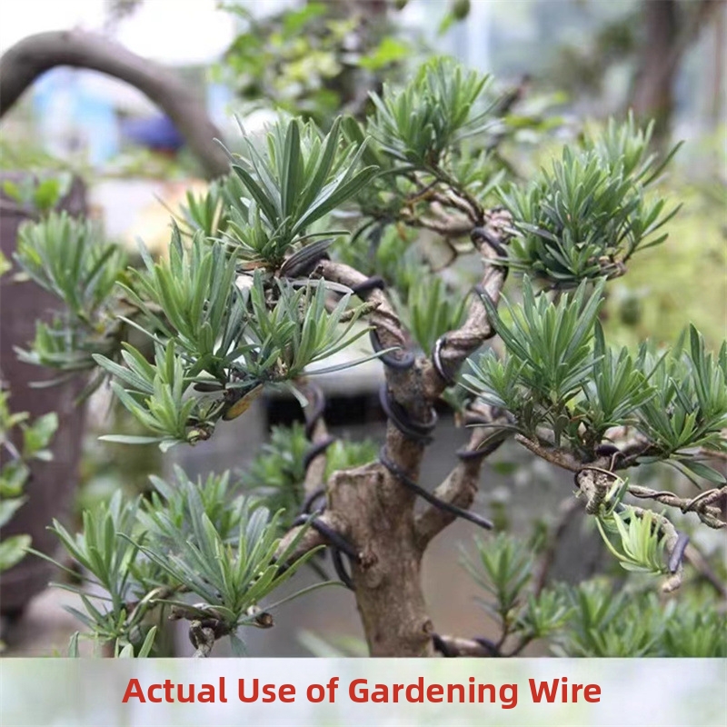 Alambres de aluminio para bons - Gardening Tools And Accessories reseña y precio