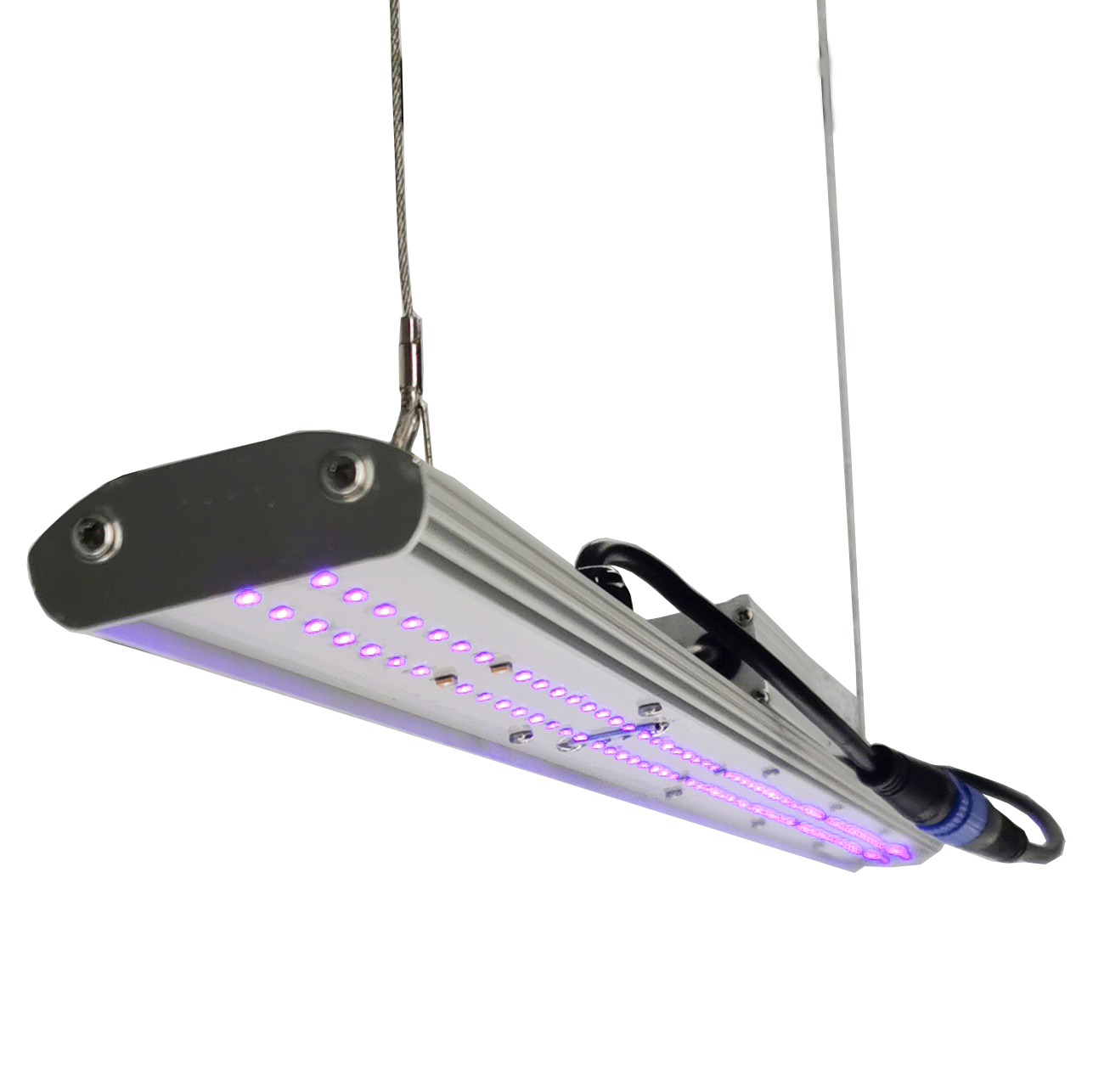 Lámpara LED de Cultivo DANSE c - Led Grow Light reseña y precio